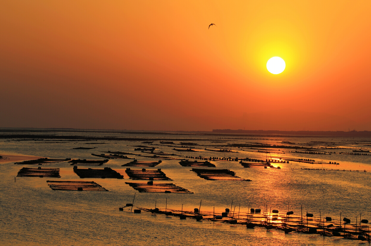 來(lái)廈門(mén)，暢游“小嶝、大擔(dān)”！