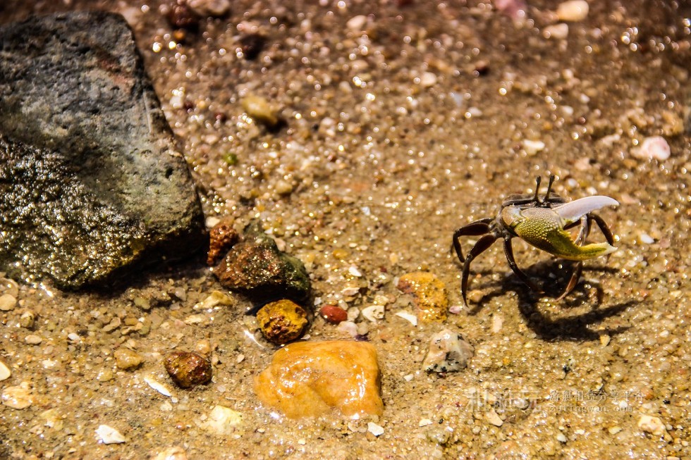 廈門游艇租賃 廈門帆船租賃 廈門游艇租賃 廈門帆船租賃