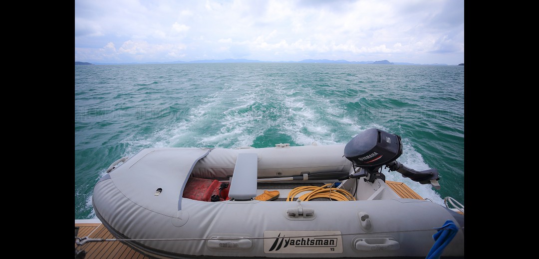 Leopard 51 Leopard 51